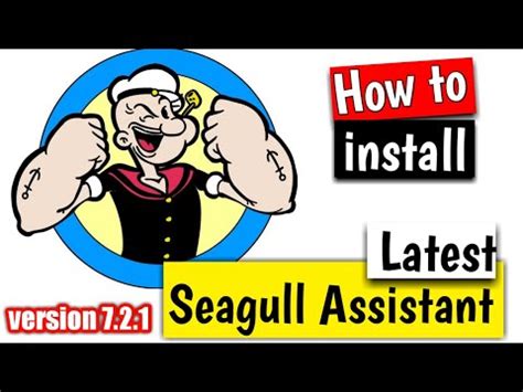 Seagull assistant ver. 7.2 cest test / cbt test .